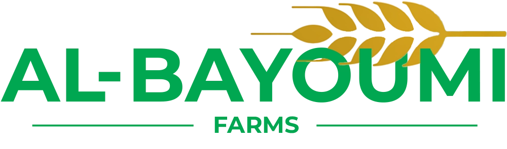 Bayoumi Group